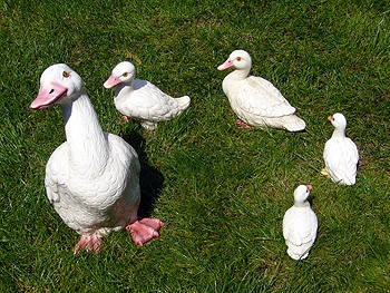 U-Mäuse/ Theaterworkshop U-Mäuse/ Theaterworkshop